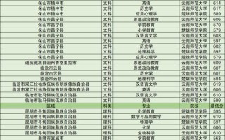 2024年高考定向本科报考师范生分数线