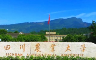 四川石油大学是985还是211