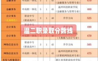 温州300以下可以上的职高