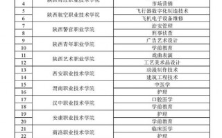 2024陕西双高计划学校及建设专业