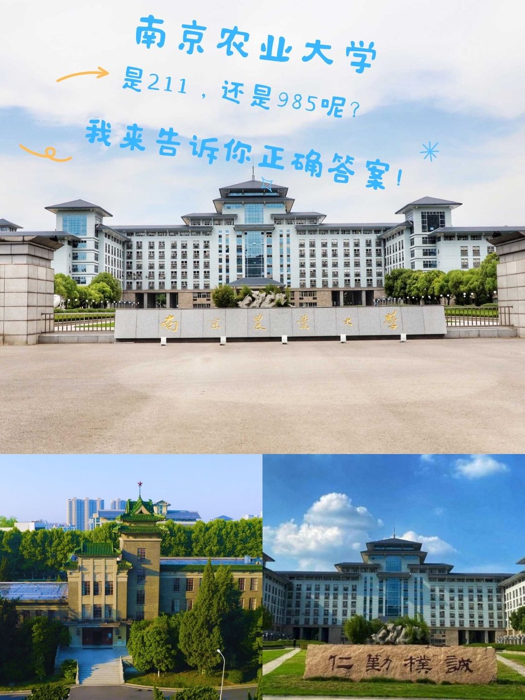 南京农业大学算顶级211吗-第1张图片