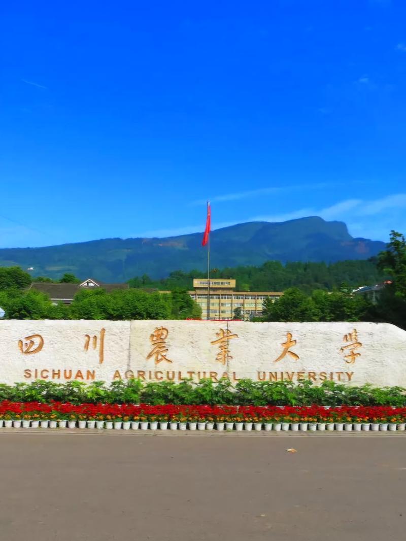 四川石油大学是985还是211-第1张图片
