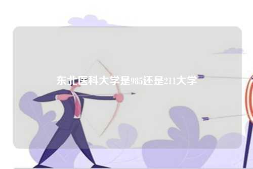 东北医科大学是985还是211大学-第1张图片